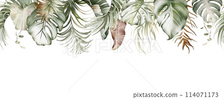Watercolor botanical seamless tropics border. Green exotic jungle on a white background. Floral decoration for print design. Tropical fresh forest painted background. Watercolor botanical seamless tropics border. Green exotic jungle on a white background. Floral decoration for print design. Tropical fresh forest painted background. 114071173