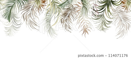 Watercolor botanical seamless tropics border. Green exotic jungle on a white background. Floral decoration for print design. Tropical fresh forest painted background. Watercolor botanical seamless tropics border. Green exotic jungle on a white background. Floral decoration for print design. Tropical fresh forest painted background. 114071176