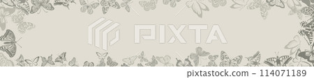 Background long horizontal frame with vintage beige butterflies. hand drawing. Not AI, Vector illustration Background long horizontal frame with vintage beige butterflies. hand drawing. Not AI, Vector illustration 114071189