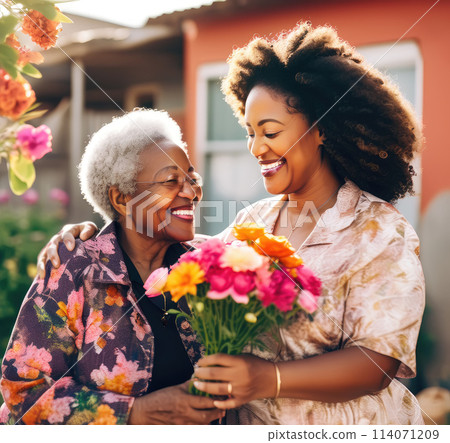 Adult daughter greeting her mother. Mother's day concept 114071209