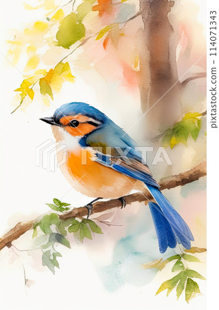 Robin bird on the tree branch watercolor illustration. Robin bird on the tree branch watercolor illustration. 114071343
