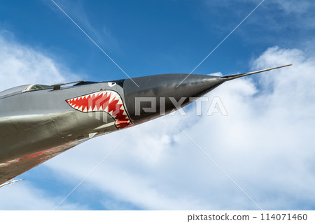combat aircraft fighter bomber on a blue sky background combat aircraft fighter bomber on a blue sky background 114071460