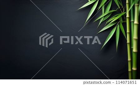 Bamboo leaves, Isolated on a dark background, with copy space 114071651