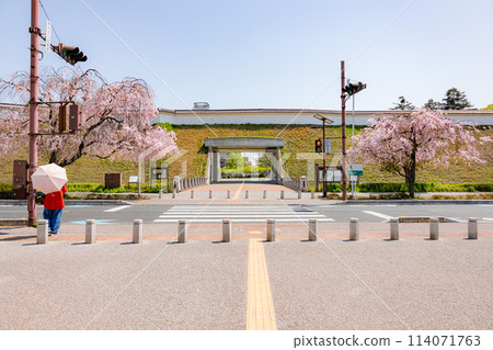 Utsunomiya Castle Ruins Park 114071763