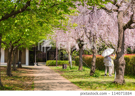 宇都宮城堡遺址公園 宇都宮城堡遺址公園 114071884