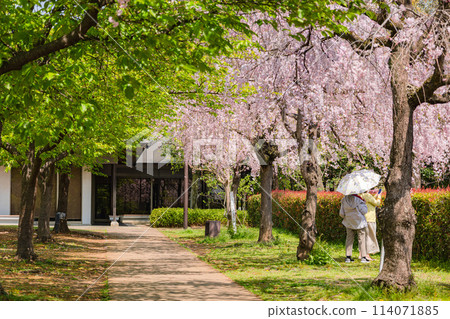 宇都宮城堡遺址公園 114071885