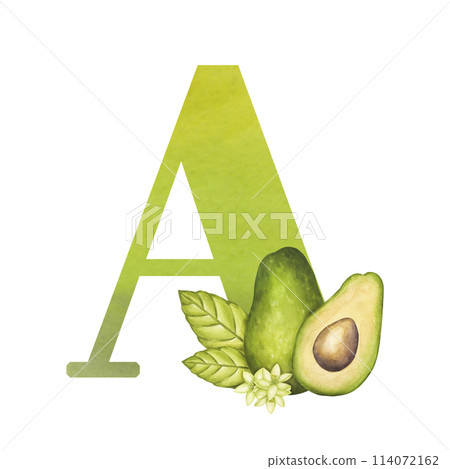 Avocado with alphabet letter A. For children learning practice ABC. Cartoon clipart. Hand drawn watercolor illustration isolated on white background. For poster, brochures, books 114072162