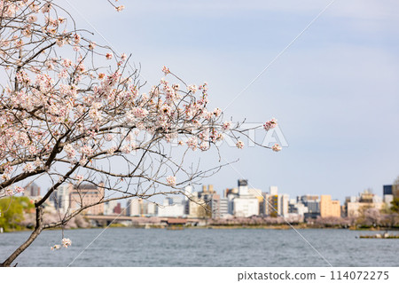 森巴湖 森巴湖 114072275