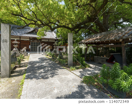 大阪市平野區河邊神社 大阪市平野區河邊神社 114072349