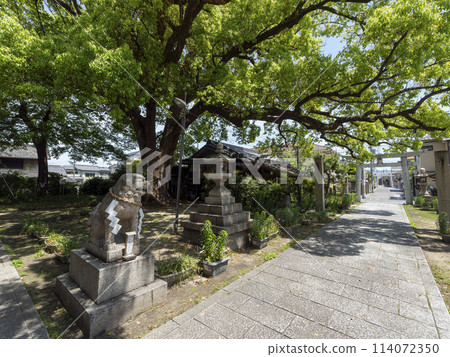 大阪市平野區河邊神社 大阪市平野區河邊神社 114072350