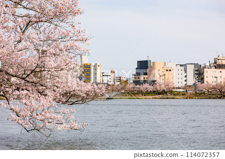 Senba Lake 114072357