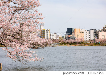Senba Lake Senba Lake 114072358