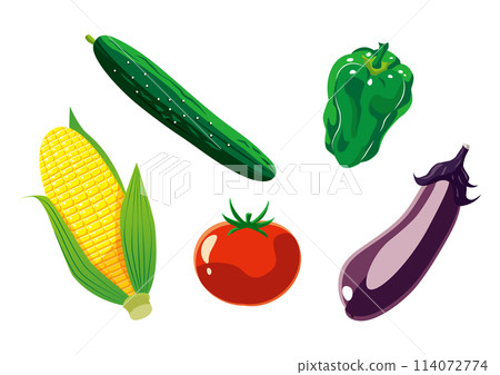 Summer vegetable set - simple 114072774