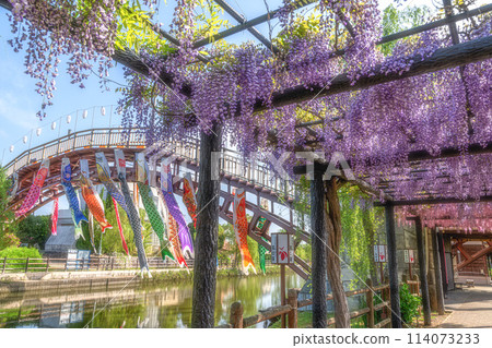 Wisteria trellis at Itako Iris Garden, Itako City, Ibaraki Prefecture 114073233