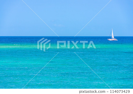 沖繩海 114073429