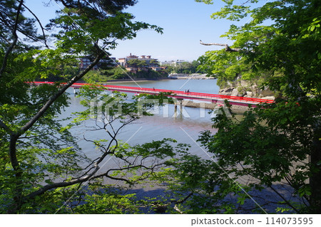 橫跨松島福浦島的橋樑景觀 橫跨松島福浦島的橋樑景觀 114073595