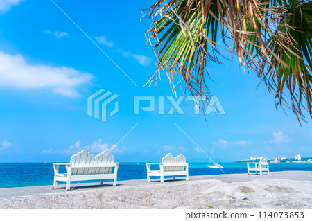 海邊白色長凳 114073853