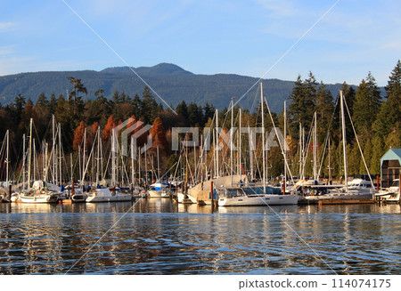 Seawall in downtown Vancouver, British Columbia, Canada 114074175
