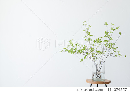 玻璃花瓶中展示的豆旦杜鵑花 玻璃花瓶中展示的豆旦杜鵑花 114074257