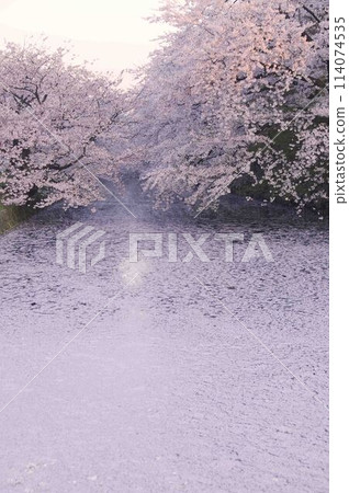 弘前城堡公園 114074535