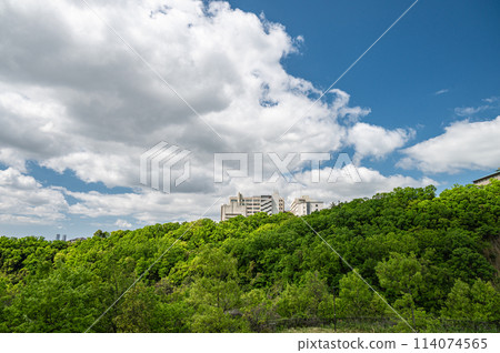 從大阪府箕面市齋藤西公園看到的山上建築物 114074565