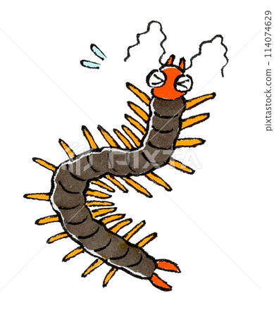 蜈蚣遇到麻煩了 114074629