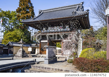 Umenomiya Taisha Gate 114074752