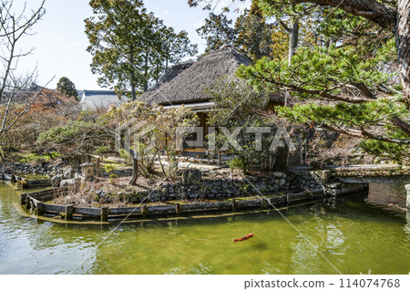 早春的梅宮大社東紫苑、池中亭和鯉魚 早春的梅宮大社東紫苑、池中亭和鯉魚 114074768