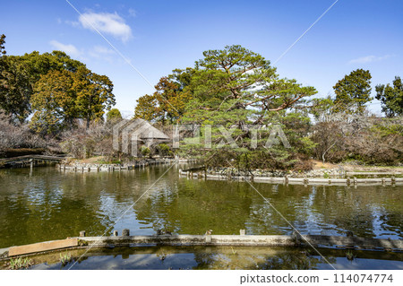 Umemiya Taisha Shrine's East Garden in early spring 114074774