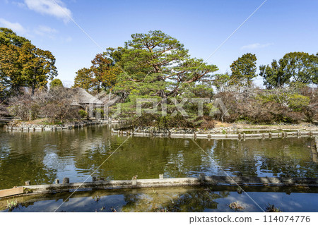 Umemiya Taisha Shrine's East Garden in early spring 114074776