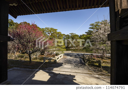 Umemiya Taisha Shrine's East Garden in early spring 114074791