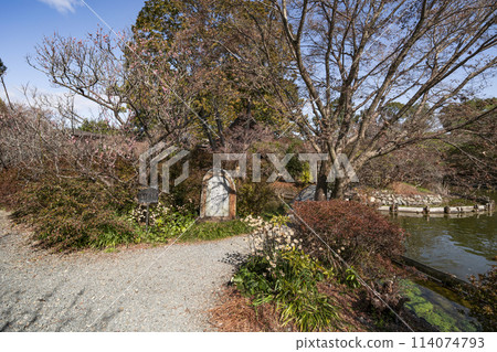 Umemiya Taisha Shrine's East Garden in early spring 114074793