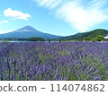 藍天下薰衣草盛開，富士山高聳入雲 114074862