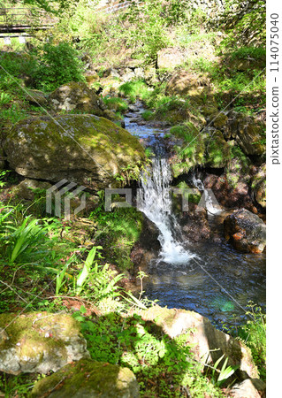 迎賓瀑布、初夏氣氛、三瀧川、通往蒙特內哥羅的林道風景 迎賓瀑布、初夏氣氛、三瀧川、通往蒙特內哥羅的林道風景 114075040
