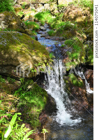 迎賓瀑布、初夏氣氛、三瀧川、通往蒙特內哥羅的林道風景 114075041