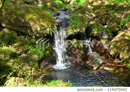 迎賓瀑布、初夏氣氛、三瀧川、通往蒙特內哥羅的林道風景 114075042