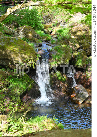 Mukaenotaki Falls - Early summer atmosphere - Mitakigawa River - Scenery from the forest road to Kuroyama Mitaki Falls Mukaenotaki Falls - Early summer atmosphere - Mitakigawa River - Scenery from the forest road to Kuroyama Mitaki Falls 114075044