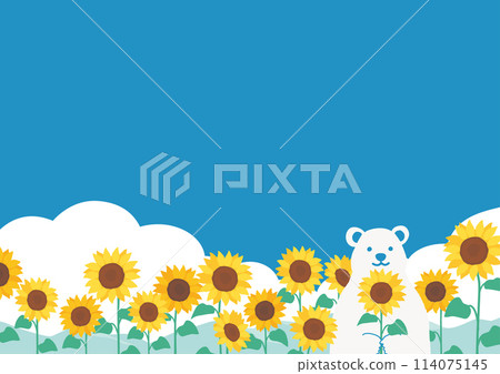 與藍天、向日葵和北極熊的夏天背景 114075145