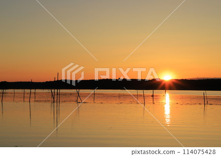 朝日反映在水面上 114075428
