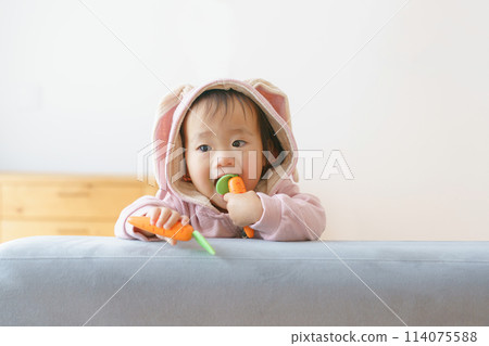 Baby in a rabbit's costume 114075588