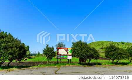 自然公園週邊風景(阿蘇市鈴蘭自然公園) 阿蘇市南野市 自然公園週邊風景(阿蘇市鈴蘭自然公園) 阿蘇市南野市 114075716