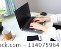 Woman's hands typing on a computer at home 114075964