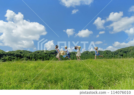 Children playing in the summer meadow 114076010