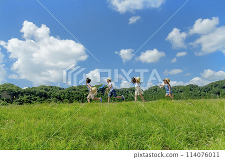 Children playing in the summer meadow 114076011