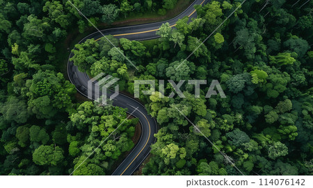 A winding road through a forest with trees on both sides 114076142