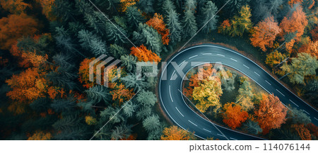 A winding road with trees on both sides 114076144