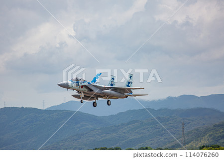 Landing F-15 fighter (aggressor) Landing F-15 fighter (aggressor) 114076260