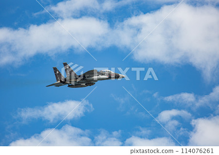 Landing F-15 fighter (aggressor) Landing F-15 fighter (aggressor) 114076261