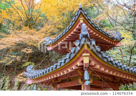 Otagi Nenbutsu-ji Temple (Temple of 1,200 Arhats) in Saga, Ukyo Ward, Kyoto City - pagoda and autumn leaves Otagi Nenbutsu-ji Temple (Temple of 1,200 Arhats) in Saga, Ukyo Ward, Kyoto City - pagoda and autumn leaves 114076354