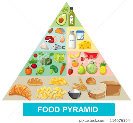 Colorful Food Pyramid Illustration 114076504